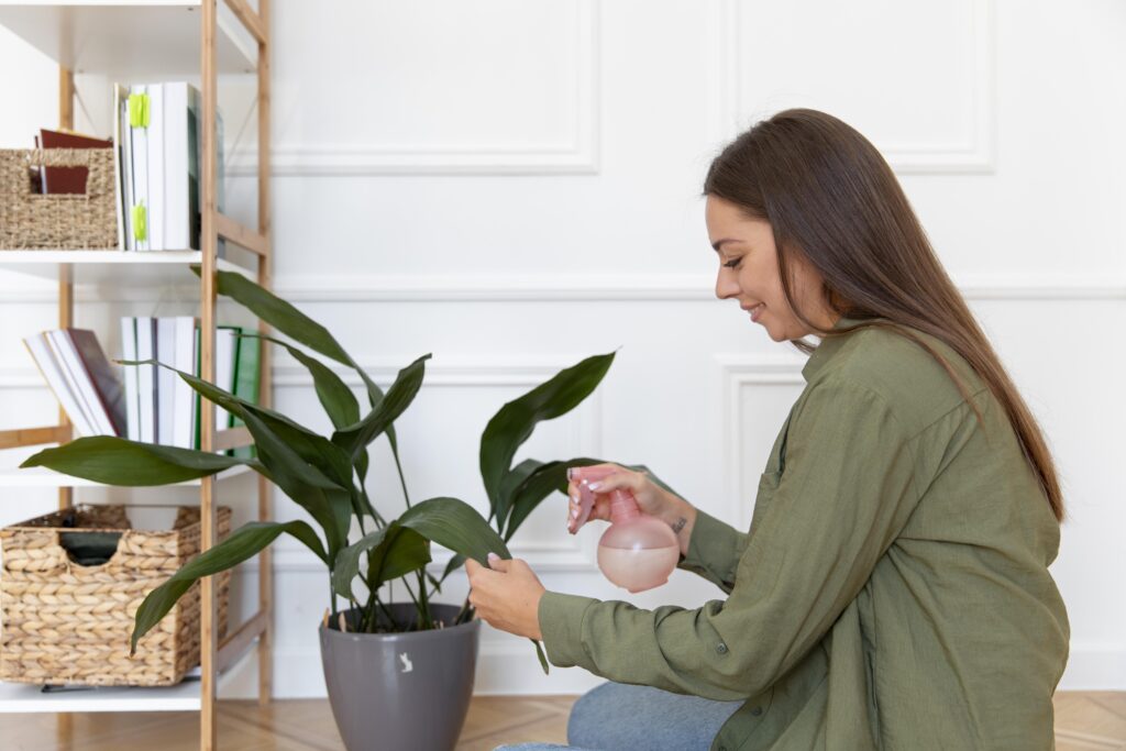 como cuidar das plantas quando viajar