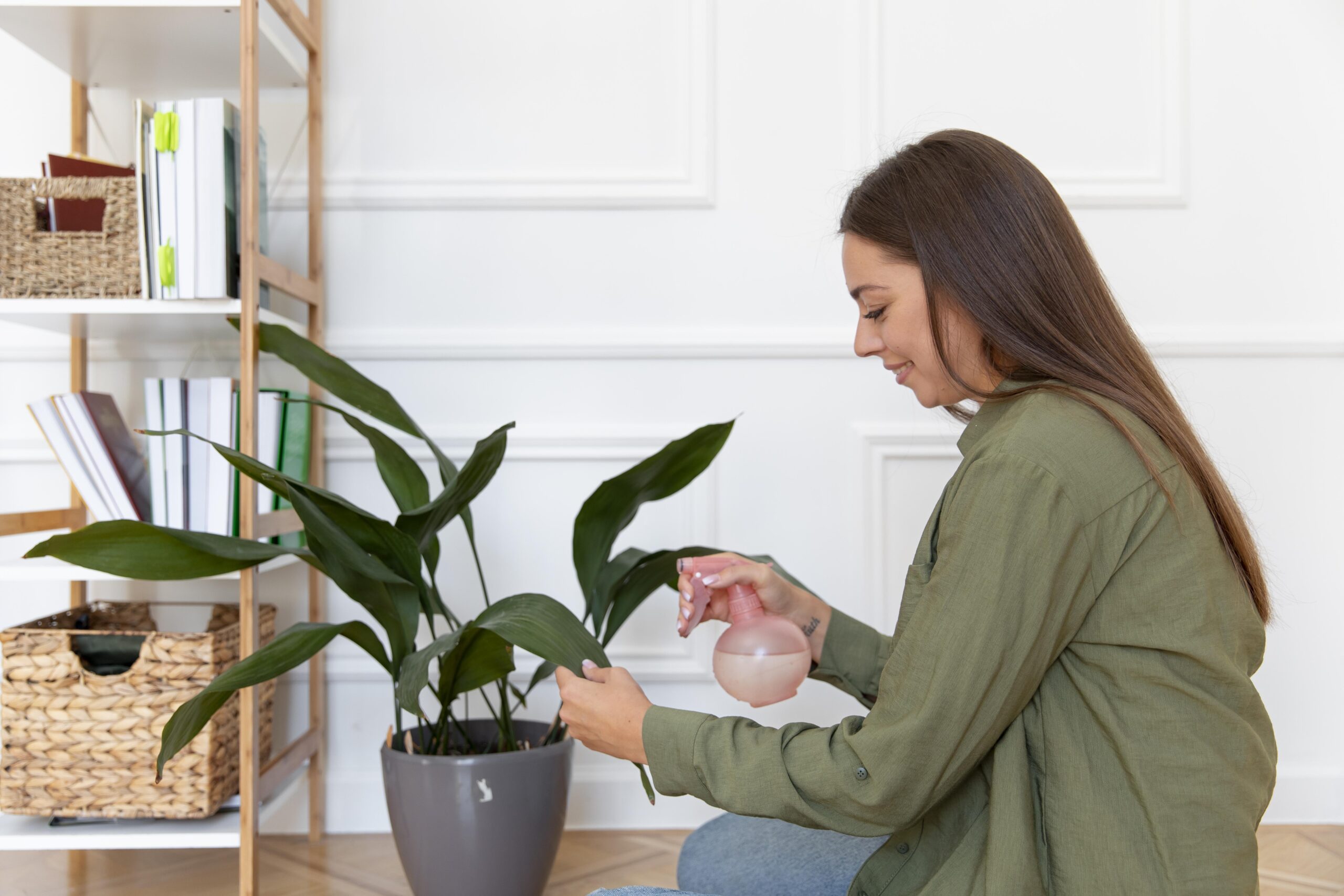 Como Cuidar das Plantas Quando Viajar: Dicas Infalíveis